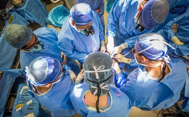 A team of experts work together to perform a face transplant at Mayo Clinic.
